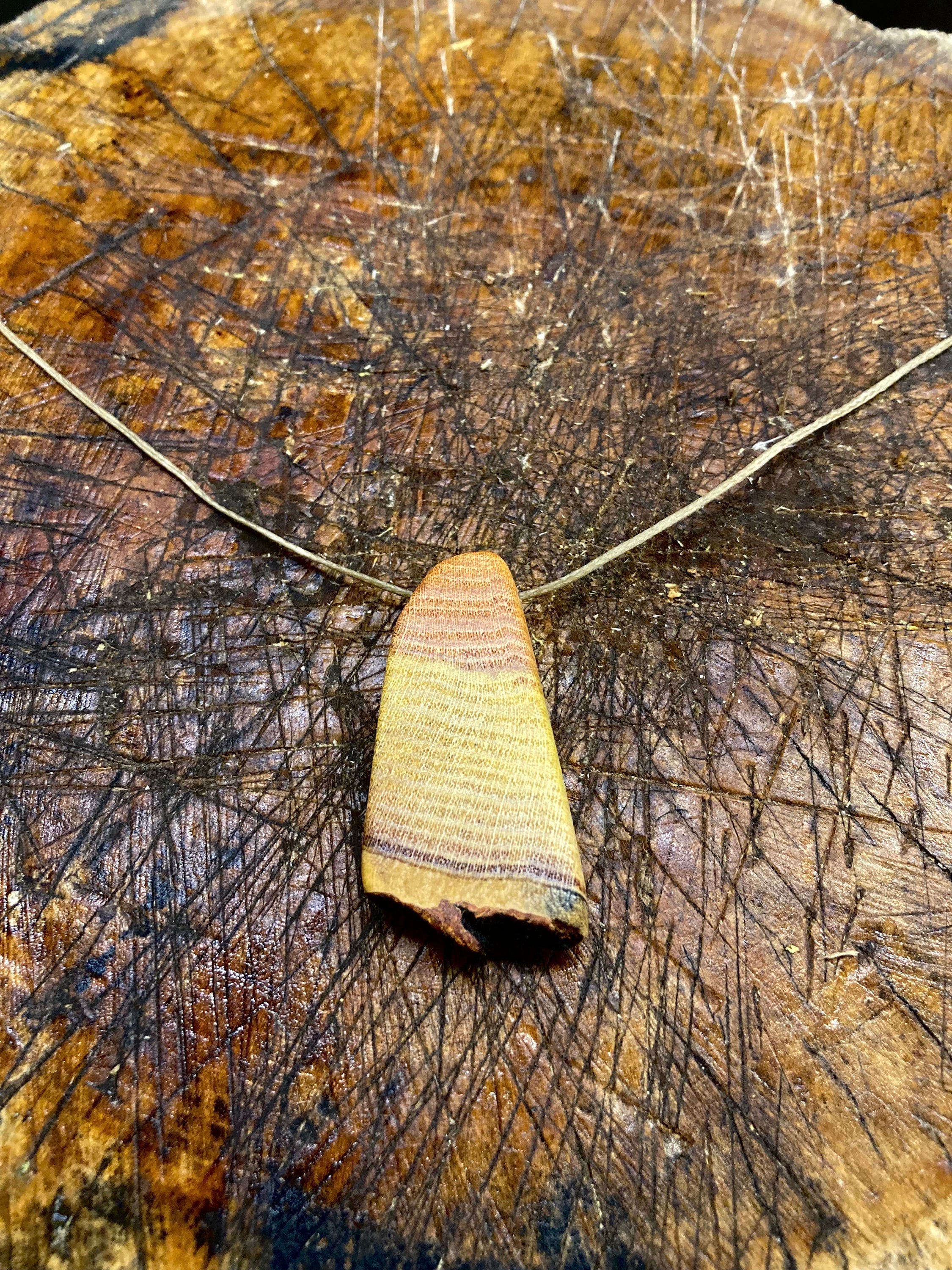 Hand carved Honeylocust wooden pendant image 5