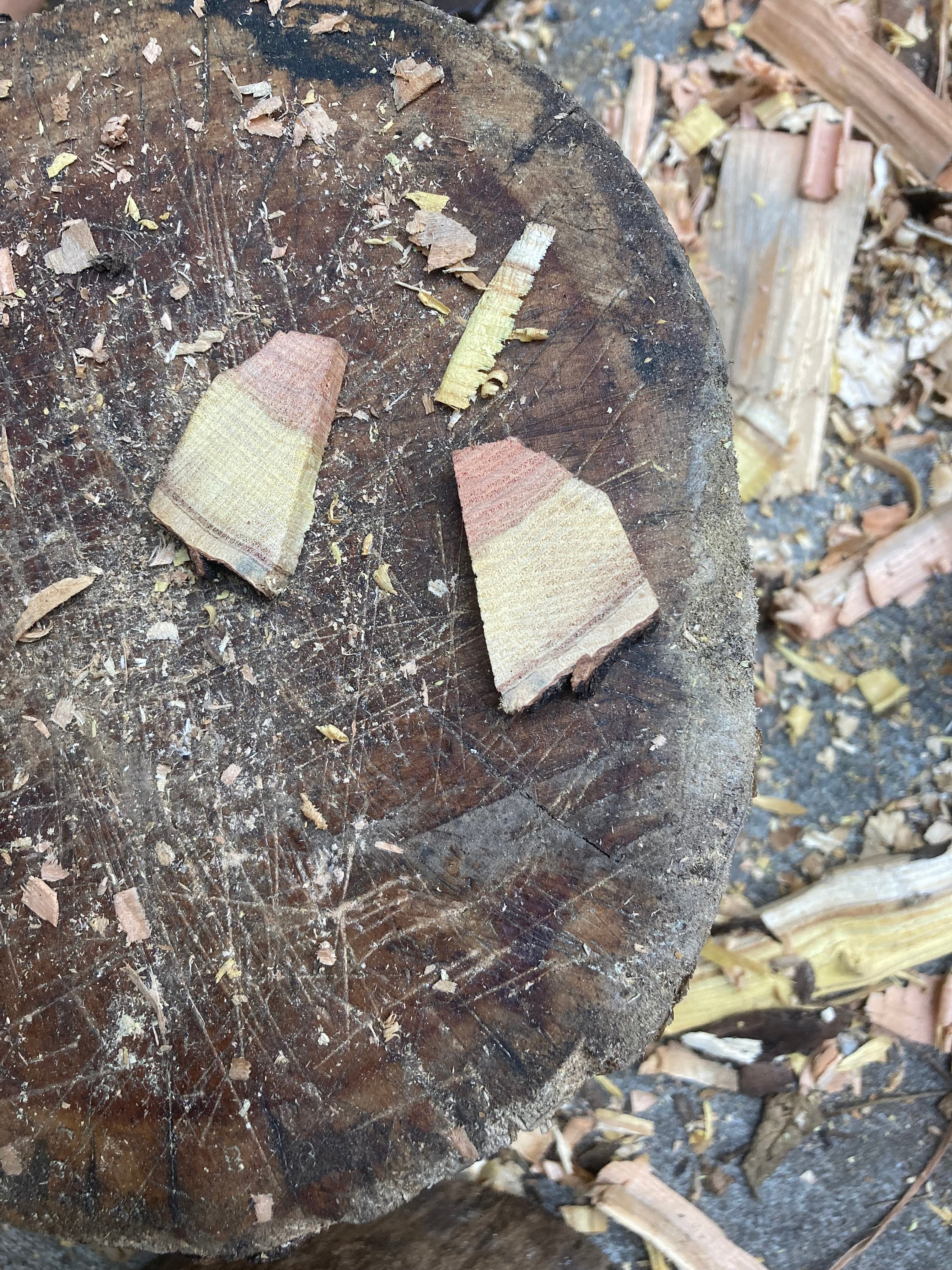 Hand carved Honeylocust wooden pendant image 6