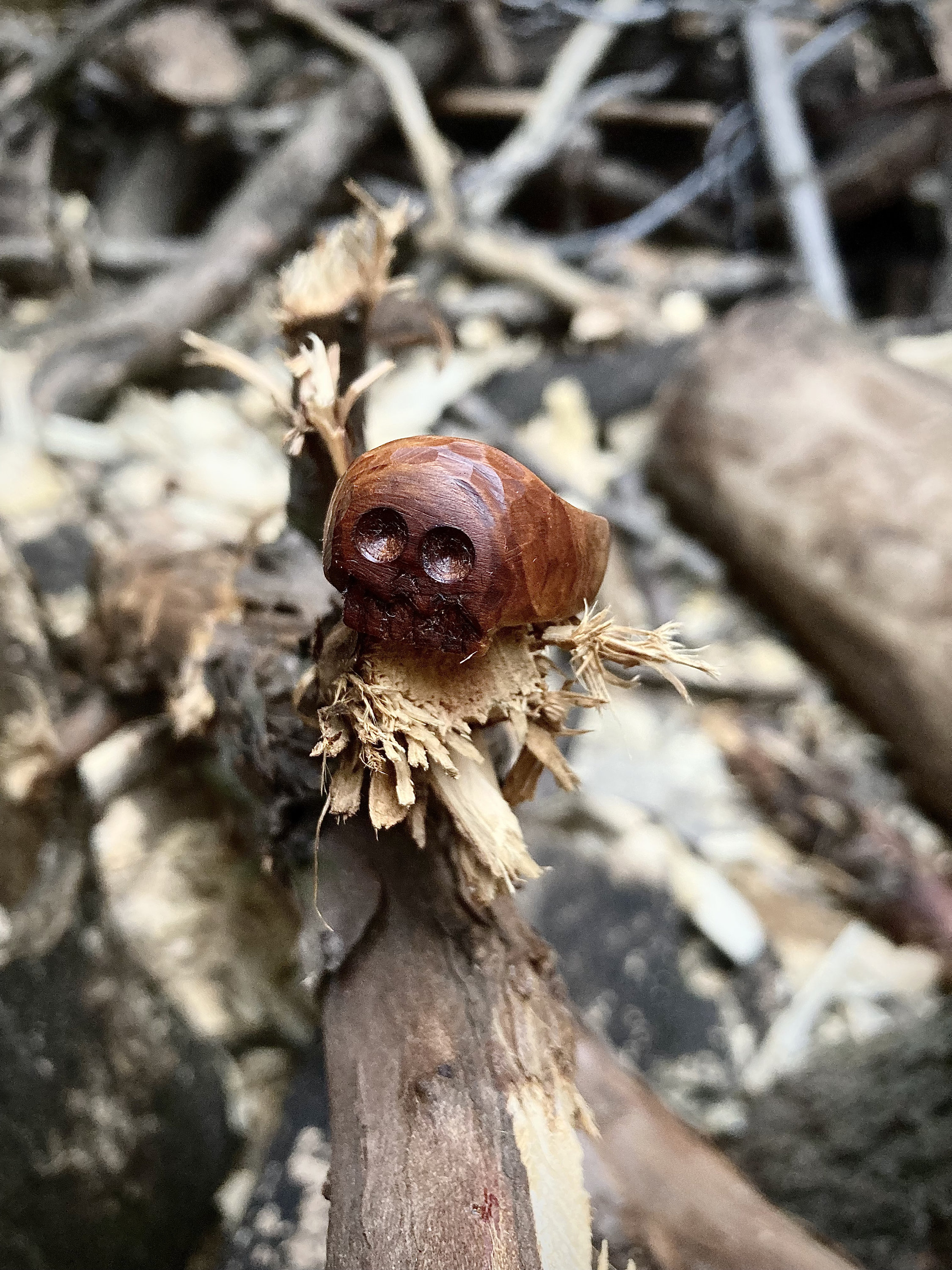 Hand carved wooden skull ring image 4